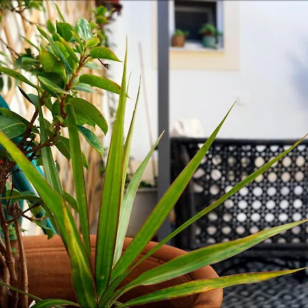 Casa Da - بيت للعطل *