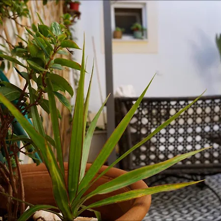 Casa Da - Holiday home *